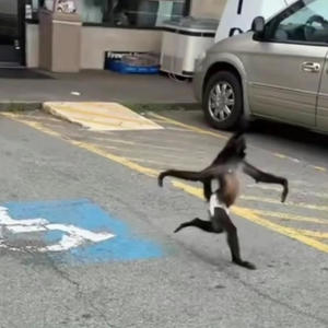 Birthday Cake (Explicit)