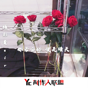 你若安好 便是晴天