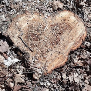 Missing You(feat. Mighty Flipside ESQ. & Ialive) (Explicit)