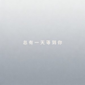 总有一天等到你 (微醺版)封面