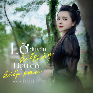 Lỡ Duyên Kiếp Này, Liệu Có Kiếp Sau (Lofi Mix)