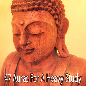 47 Auras for a Heavy Study