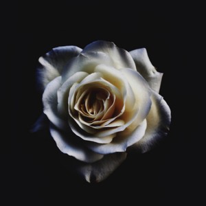 Lifeline(feat. Beng Beng)