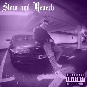Slept On (Slowed and Reverb) (Slowed) (Explicit)