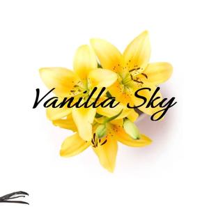 Vanilla Sky (Explicit)