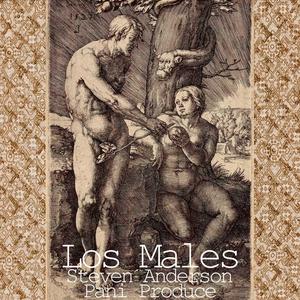 Los Males (feat. Steven Anderson) [Explicit]