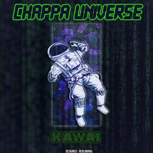 Chappa Universe (Explicit)