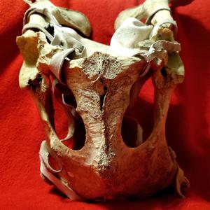 Boiling Point (Explicit)