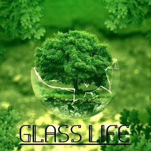 Glass life