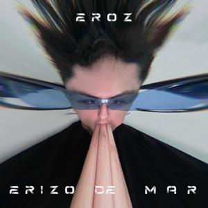 Erizo de Mar