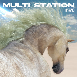 Multi Station