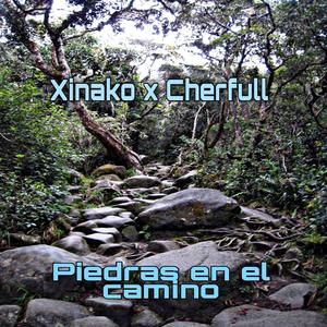 Piedras en el camino(feat. Xinako & Cherfull) (Explicit)