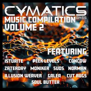 Cymatics Bass Compilation Vol. 2 (Explicit)