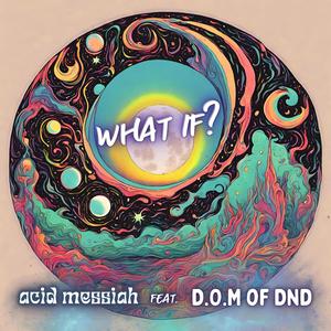 what if? (feat. D.O.M of Dnd & 808diffraction) [Explicit]