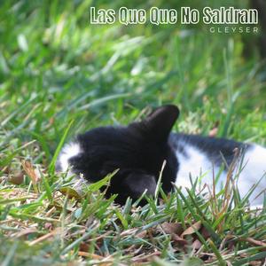 Las Que No Saldran (Explicit)