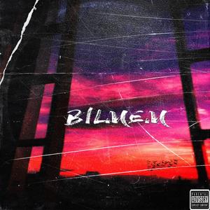 Bilmem(feat. Kvo) (Explicit)