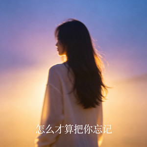 怎么才算把你忘记-DJ慕容儿&DJ铁柱&DJ玉芬