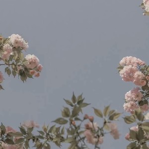 风是柔柔的 (DJ长音频)封面