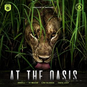 At the Oasis (feat. Angill, Lou Slugga, IV Muzik & Zach Lost) [Explicit]