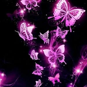Neon Butterflies