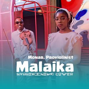 Malaika (feat. Proviolinist)