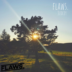 Flaws. (Explicit)