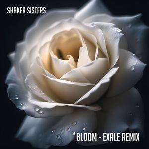 Bloom (feat. Shaker Sisters) [Exale Remix]