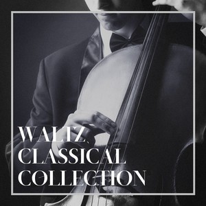 Waltz Classical Collection