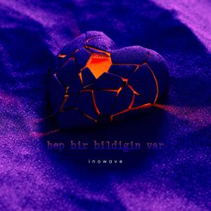 Hep bir bildiğin var