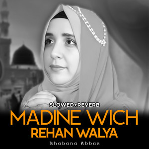 Madine Wich Rehan Walya (Lofi-Mix)