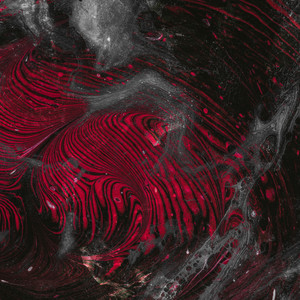 Conceptual Priming (Orbe Remix)