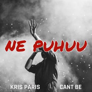 Ne puhuu (feat. Kris Paris) (Explicit)