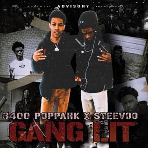 Gang Lit (Explicit)