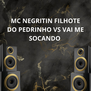 Filhote do Pedrinho Vs Vai Me Socando (Explicit)