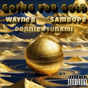 Going For Gold (feat. Wayne B & SamDope) [Explicit]