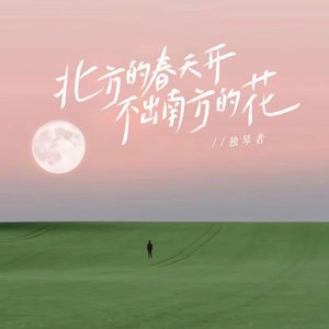 独琴者 - 北方的春天开不出南方的花 (Live合唱版)