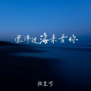 漂洋过海来看你(为你我用了半年的积蓄)