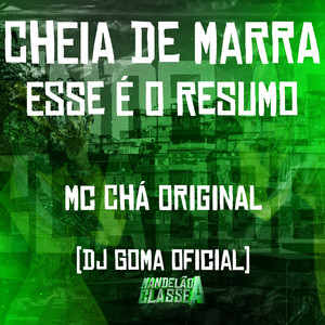 Cheia de Marra - Esse É o Resumo (Explicit)