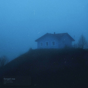 forget me