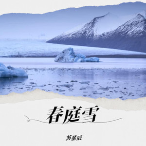 春庭雪 (苏星辰 remix)