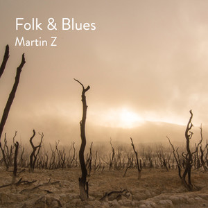 Folk & Blues (Unplugged)