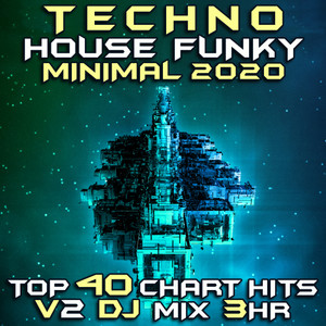 Shake Shake (Techno House Funky Minimal 2020 DJ Mixed)