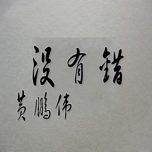 没有错 (Demo)