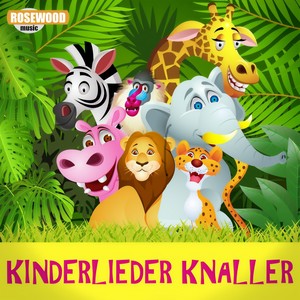 Kinderlieder Knaller (Kinder Kult Hits zum Abfeiern und Mitsingen)