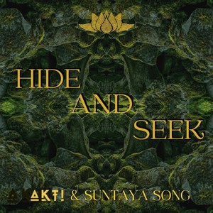 Hide and Seek