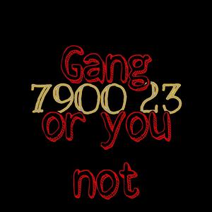 Gang or you not (Explicit)