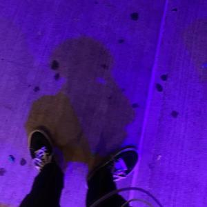 Where is Blix? - 27n!ghts