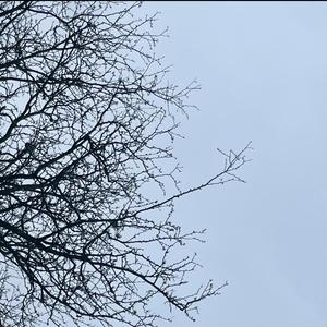 who i am! (Explicit)