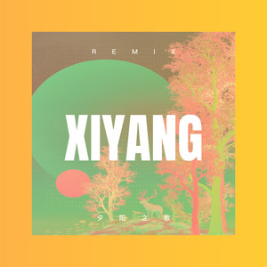 我的未来不是梦 (DJ版)