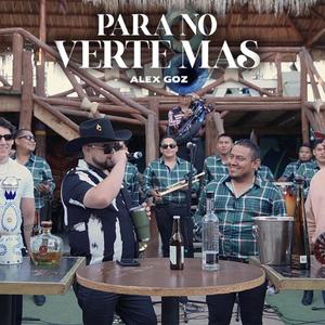 Para No Verte Mas (Explicit)